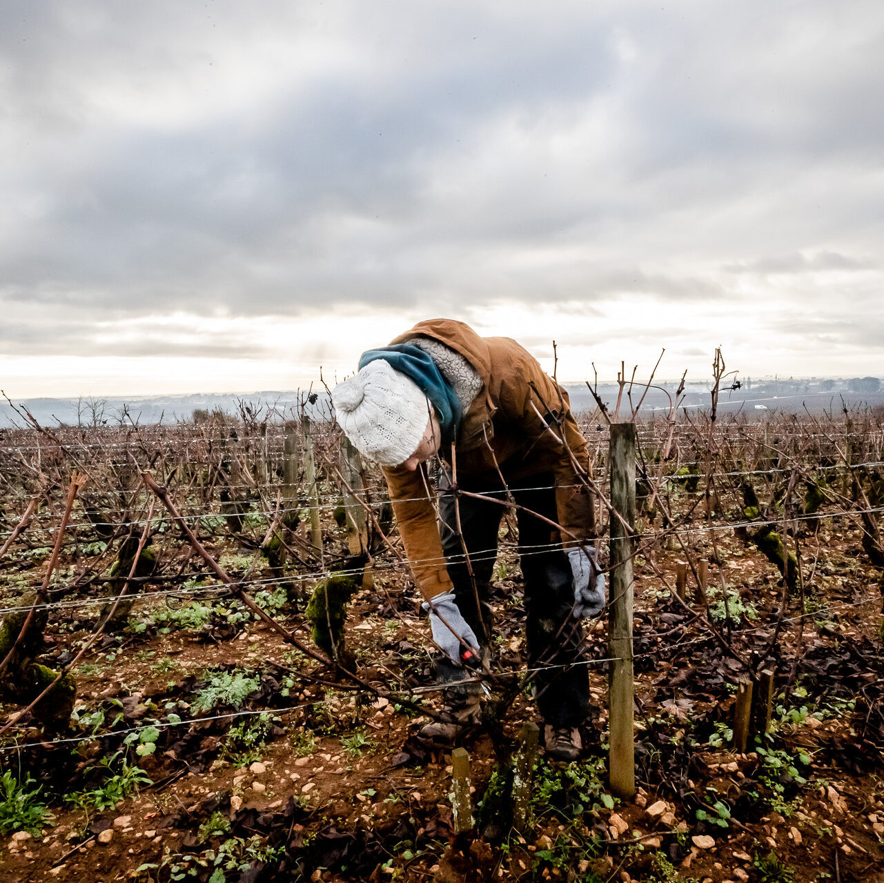 domaine-du-prieure-28